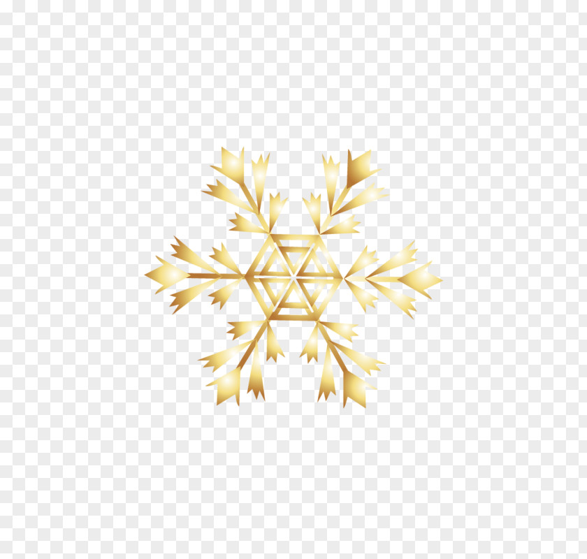 Golden Snowflakes Snowflake Download Computer File PNG