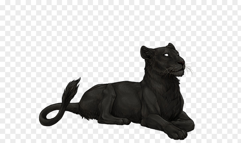 Lion Jaglion Felidae Black Panther Melanism PNG