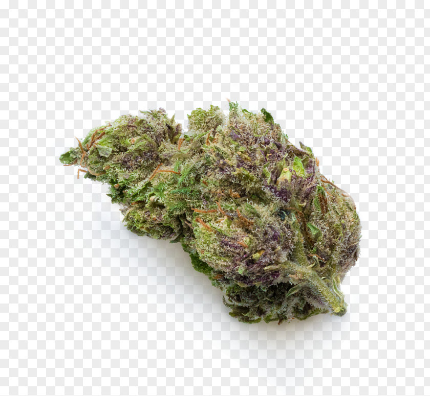 Leaf Vegetable PNG