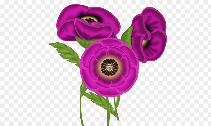 Lilac Purple Violet Internet Forum PNG
