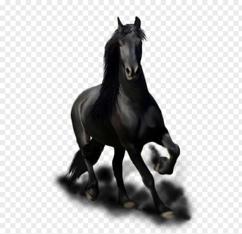Mustang Friesian Horse Stallion Mane Mare PNG