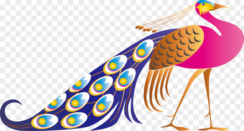 Peacock Animal Peafowl Dance Free Content Clip Art PNG