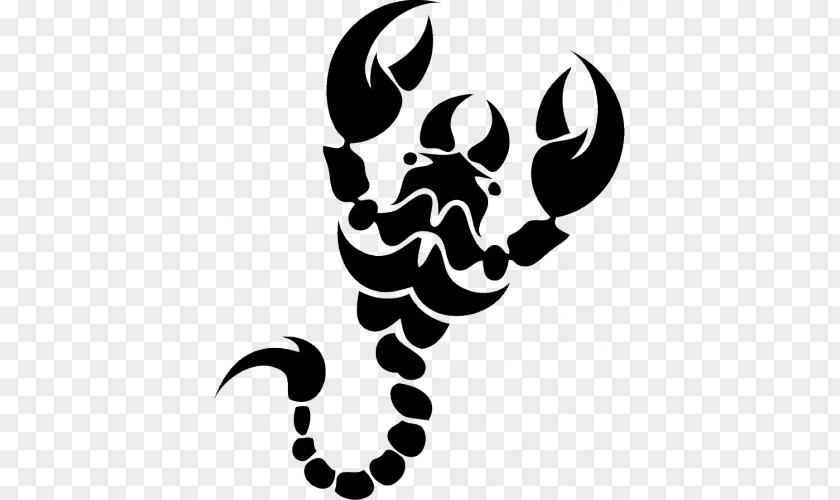 Scorpion Abziehtattoo Paper Skin PNG