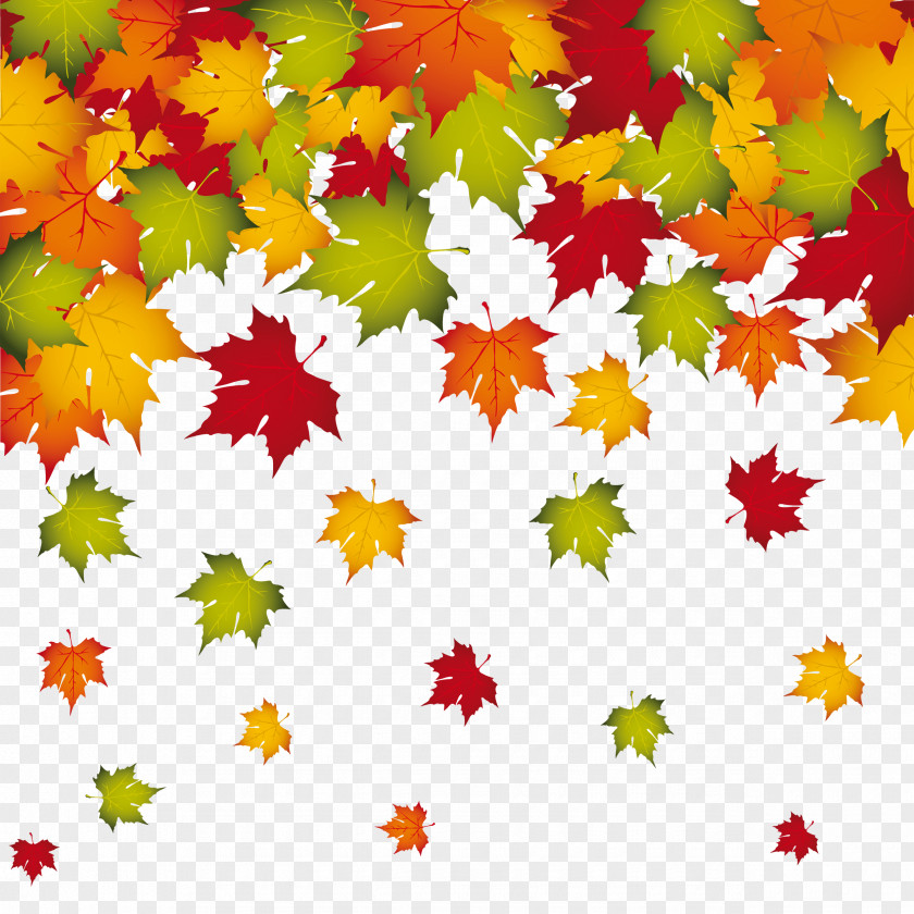 Transparent Fall Leaves Decoration Image Autumn Leaf Color Clip Art PNG
