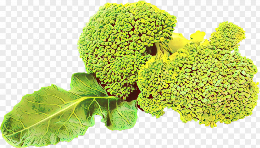 Wild Cabbage Food Broccoli Cruciferous Vegetables Leaf Vegetable Plant Flower PNG