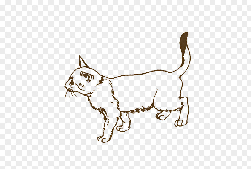 Animal Silhouettes Kitten Tabby Cat Whiskers Illustration PNG