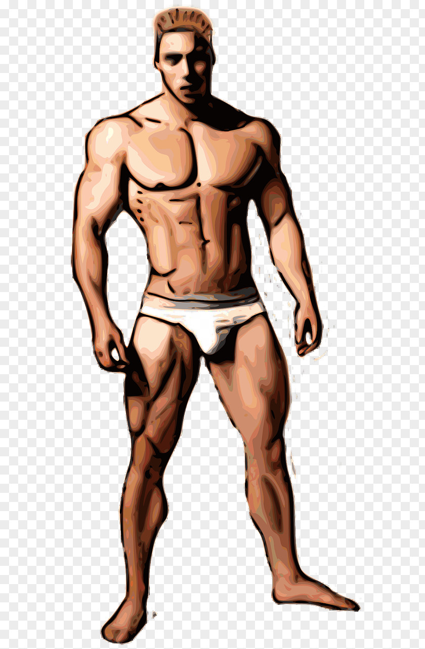 Arnold Schwarzenegger Bodybuilding Muscle Biceps Clip Art PNG