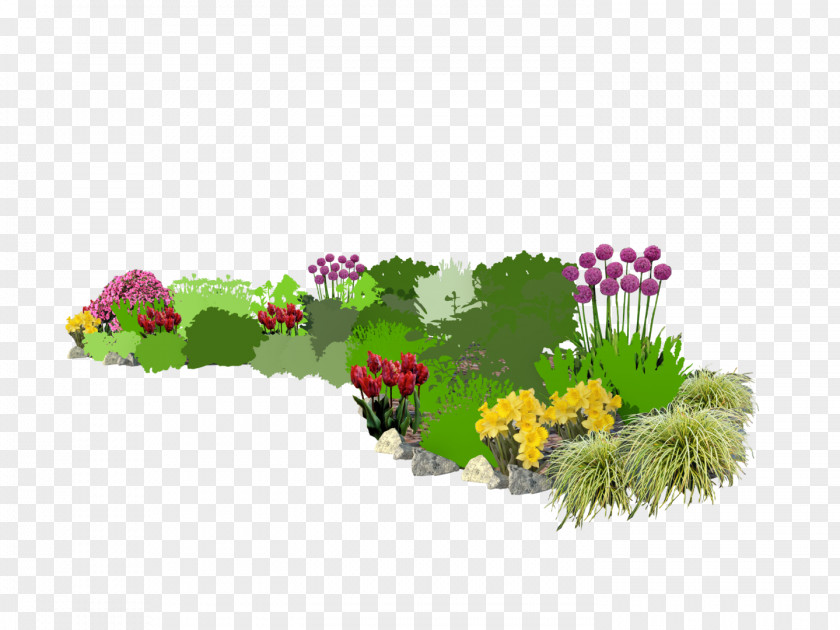 Efekt Bedding Floral Design Flowerpot Annual Plant Lawn PNG