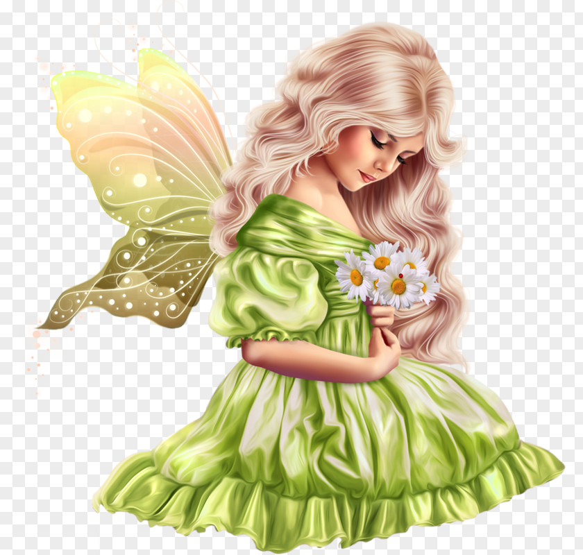 Fairy Tooth Image Artist PNG