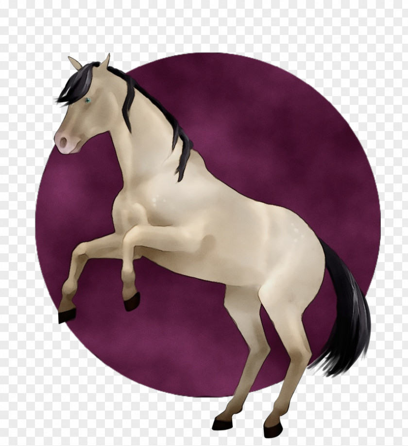 Mustang Horse Fictional Character Purple Violet Mare Stallion PNG
