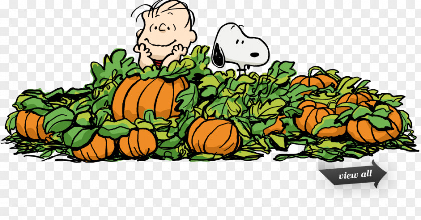 Poptropica Snoopy Great Pumpkin Charlie Brown Clip Art Peanuts PNG