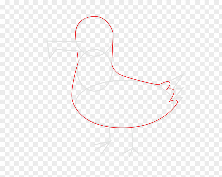 Seagull Thumb Beak Water Bird Design PNG