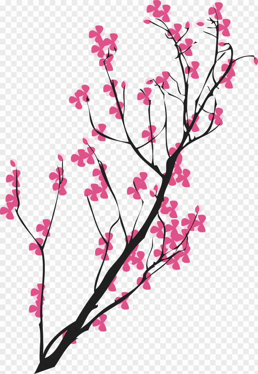 Cherry Flower PNG