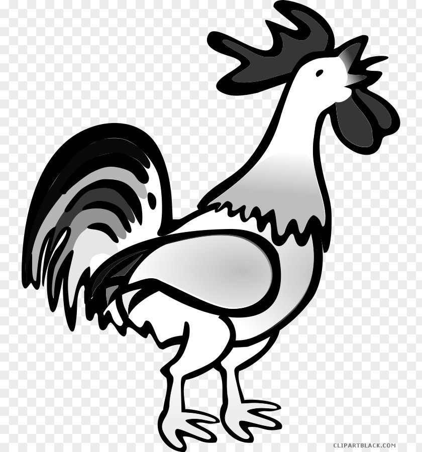 Chick Leghorn Chicken Foghorn Rooster Clip Art PNG