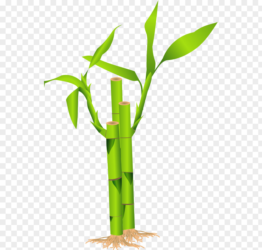 Cliparts Stick Tree Bamboo Bamboe Clip Art PNG