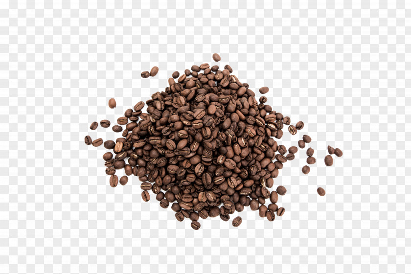 Coffee Beans Earl Grey Tea Darjeeling Assam Masala Chai PNG