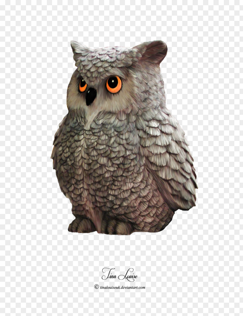 Creative Owl Tawny Bird Of Prey Great Horned PNG