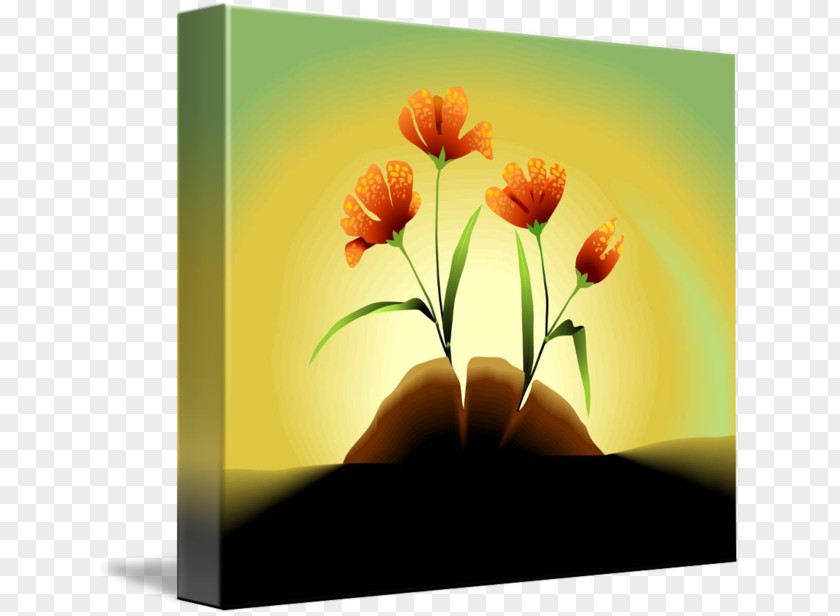 Design Floral Desktop Wallpaper Petal Computer PNG