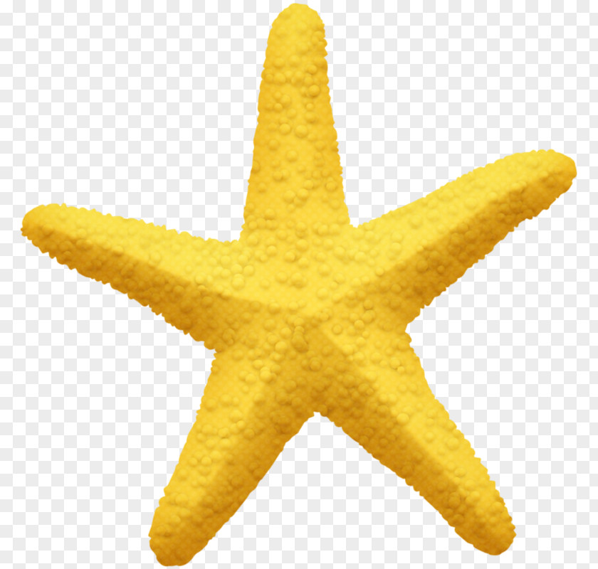 Hand-painted Five-pointed Star Starfish Pentagram Yellow PNG