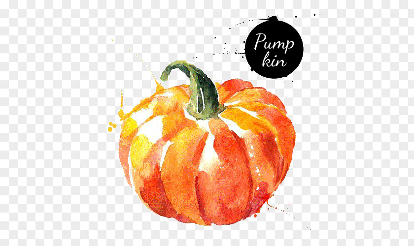 Hand Painted Pumpkin Watercolor Painting Vegetable Drawing PNG