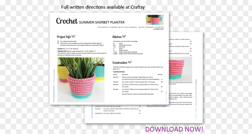 Pattern Summer Web Page Brand PNG