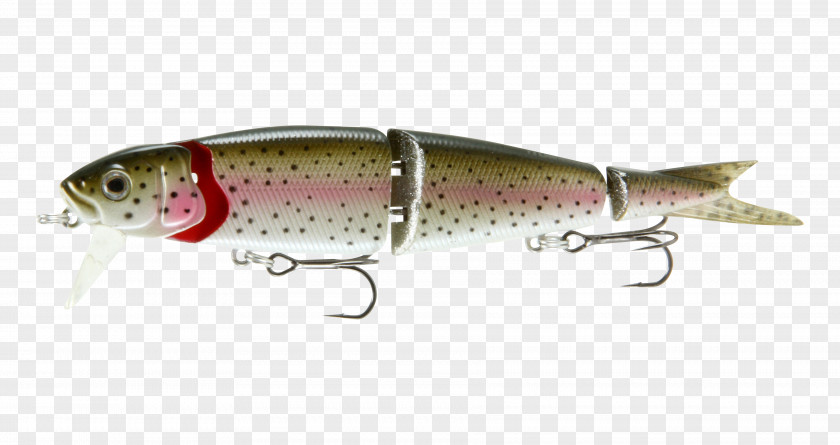 Rainbow Trout Sardine Spoon Lure Plug Fishing Baits & Lures PNG