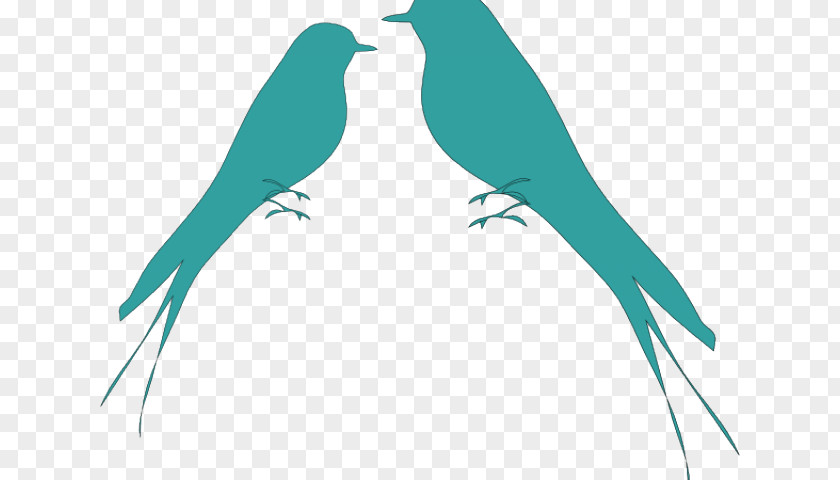 Sparrow Symbol Parrot Grey-headed Lovebird Clip Art Budgerigar PNG