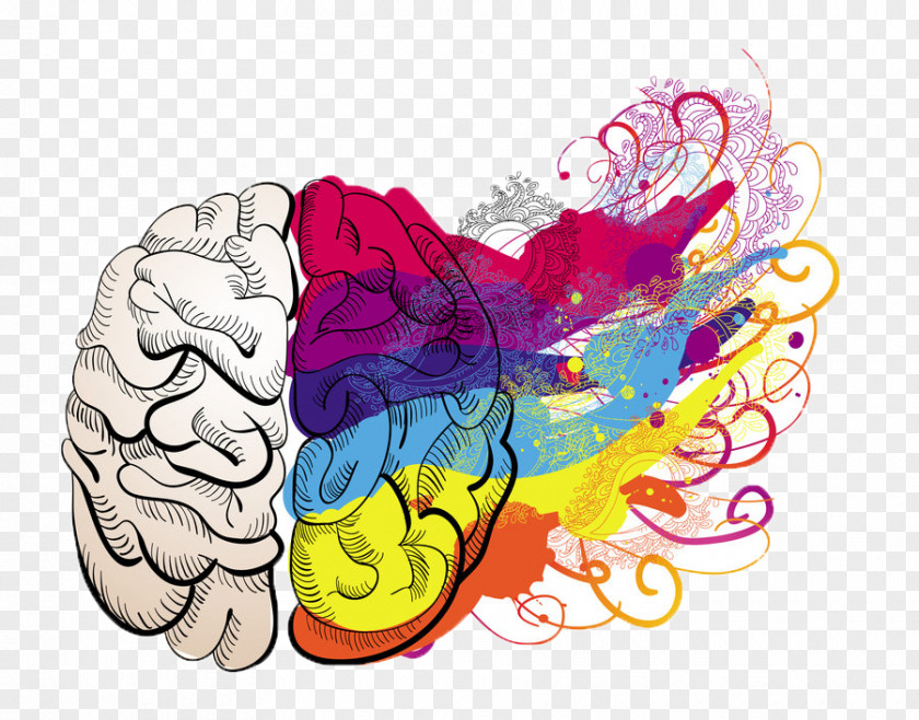 Brain Art Drawing Clip PNG