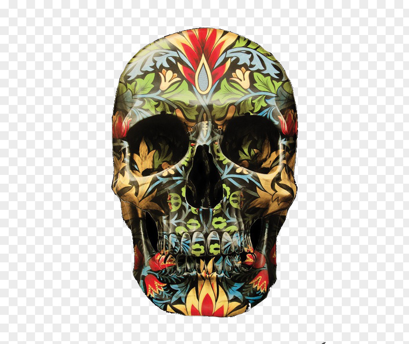 Skull Human Symbolism IPhone 7 X Calavera PNG