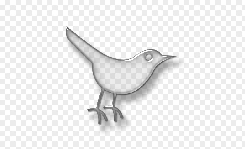 Social Media Black And White Bird Blog PNG