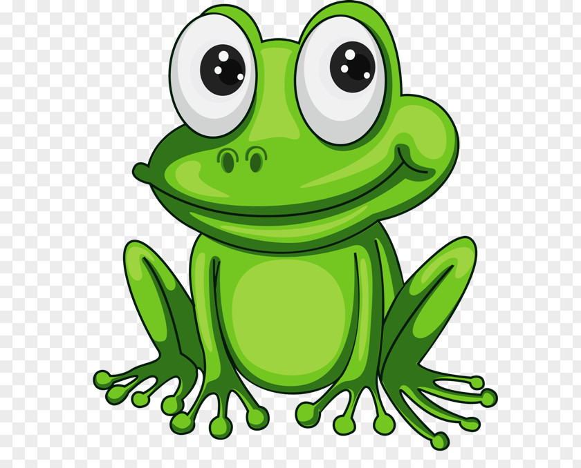Cartoon Kindergarten Frog PNG
