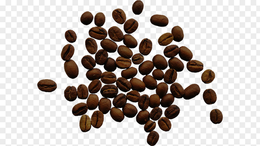 Coffee Instant Cafe Bean Single-origin PNG