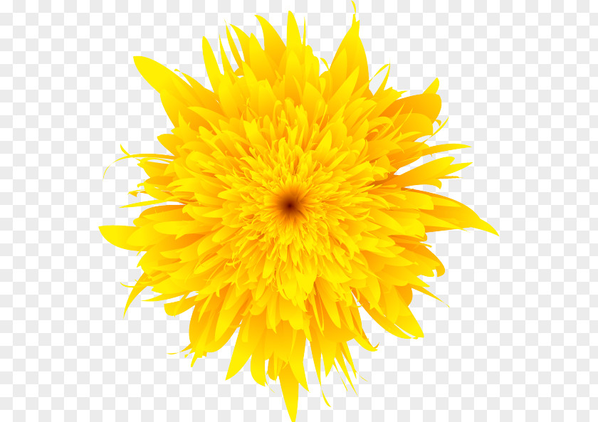 Dandelion Common Yellow Flower Green PNG