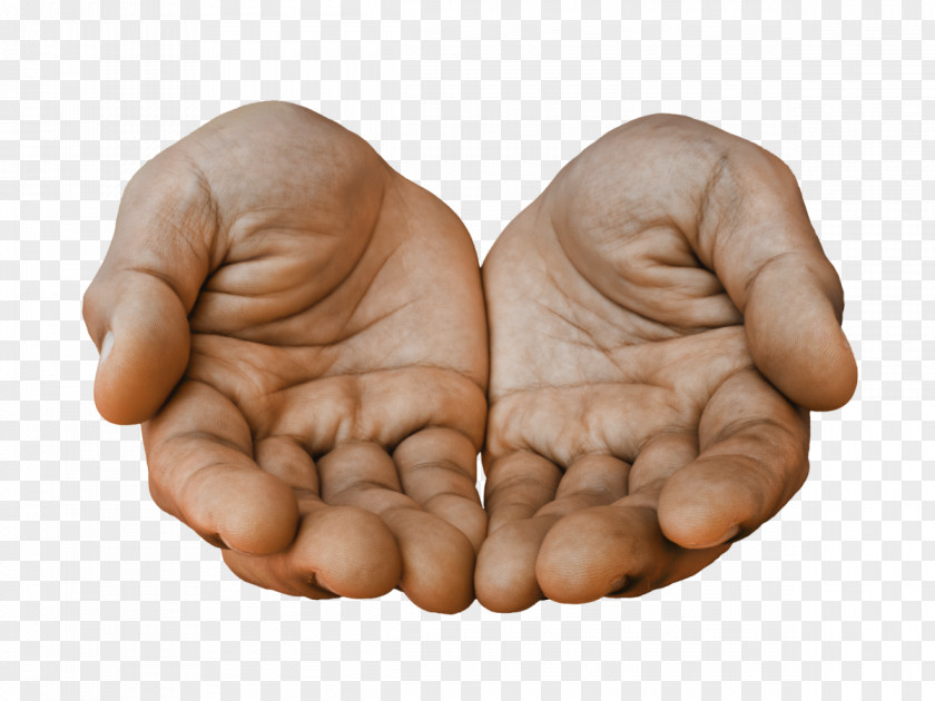 Hand Stock.xchng Thumb Image Business PNG