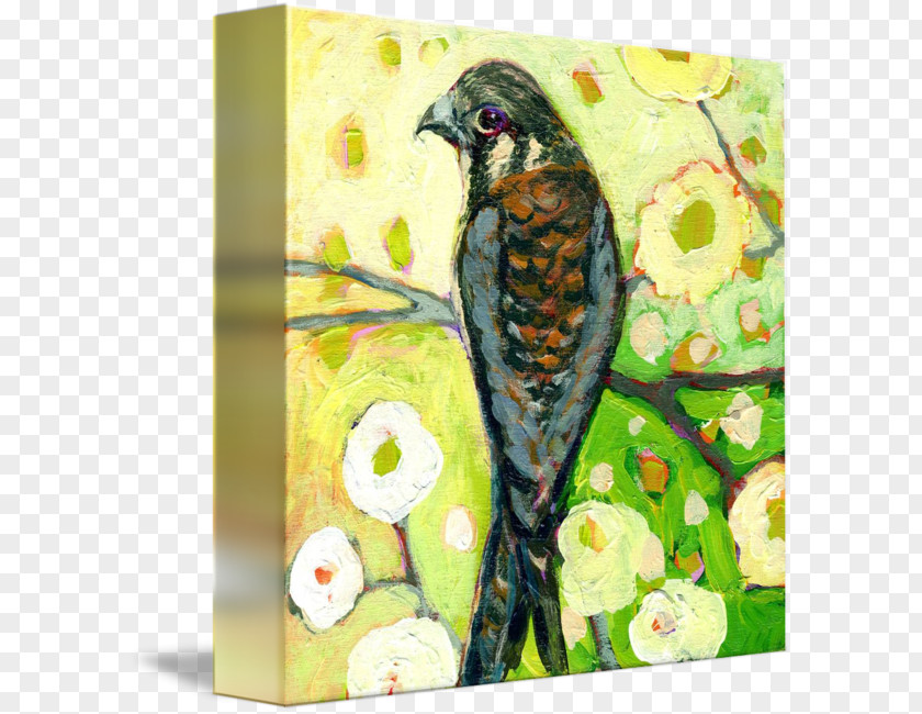 Painting Watercolor Art American Kestrel PNG