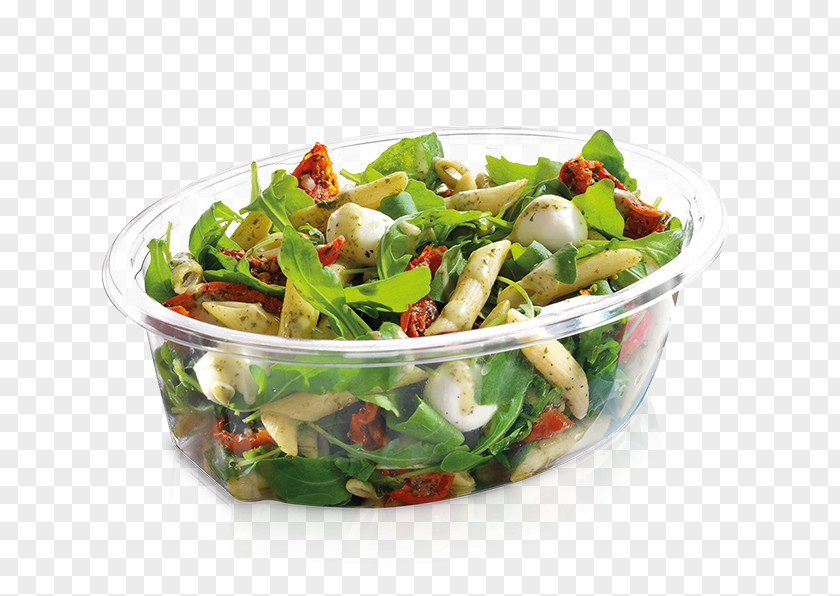 Salad Maaltijdsalade Vegetarian Cuisine Recipe Leaf Vegetable PNG