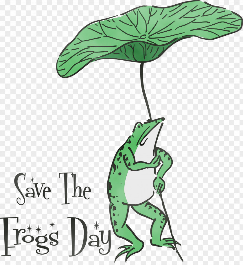 Leaf Plant Stem Frogs Tree Frog Cartoon PNG