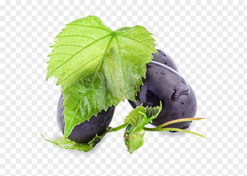 The Grape Mask Leaves Extract Leaf Vegetable PNG
