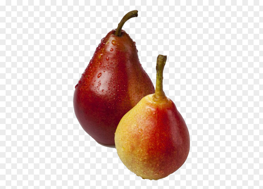 Asian Pears Pear Food Fruit PNG