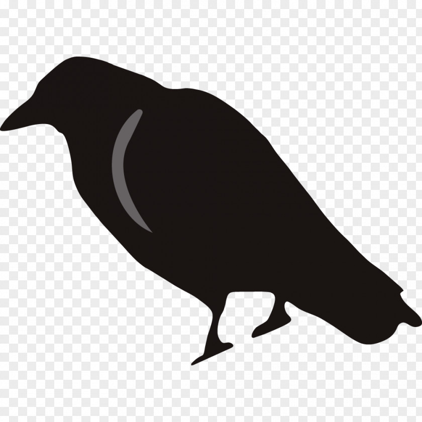 Cute Raven Cliparts Rook Common Stock.xchng Clip Art PNG