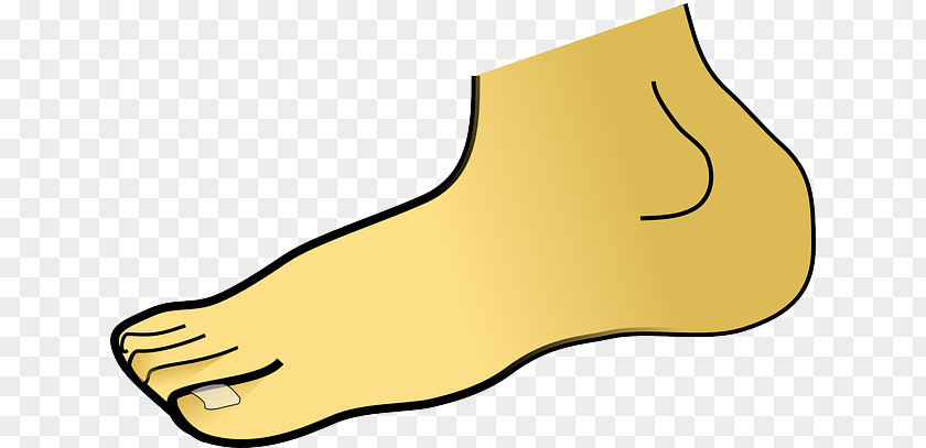 Parts Of The Body Foot Clip Art PNG