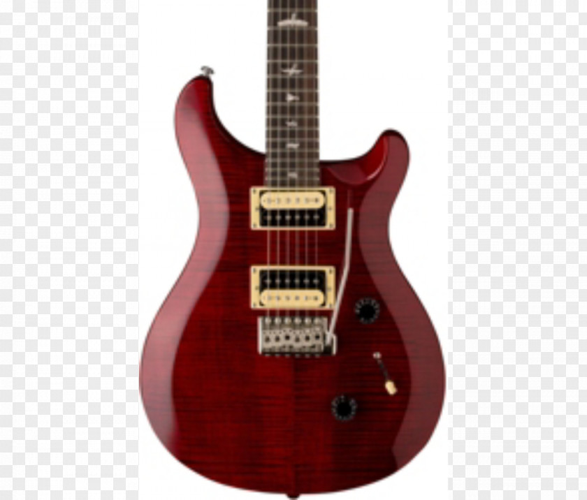 Prs Guitars PRS SE Custom 24 Electric Guitar PNG