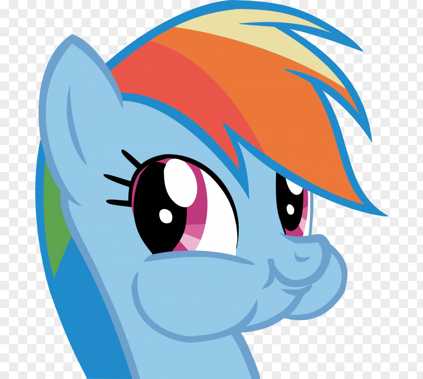 Rainbow Dash Twilight Sparkle Applejack My Little Pony: Friendship Is Magic Fandom PNG