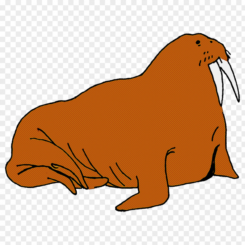 Sea Lions Dog Walrus Whiskers Cat PNG