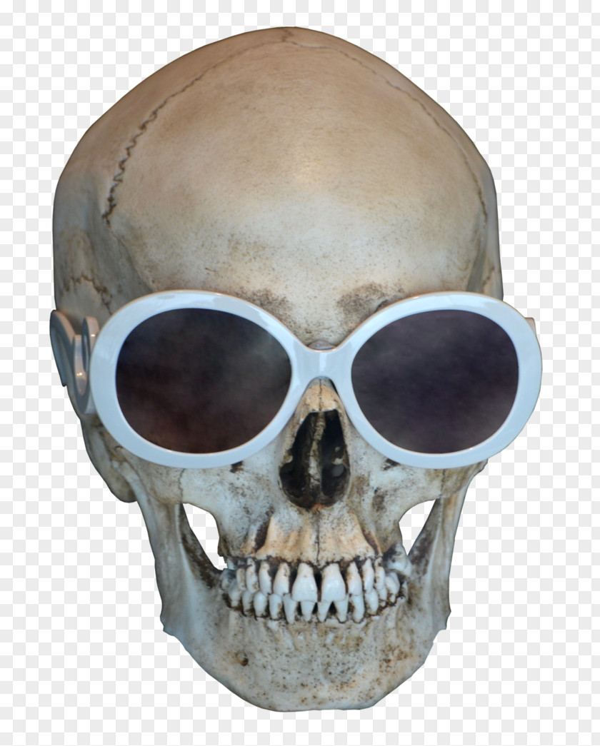 Skull Free Download Clip Art PNG