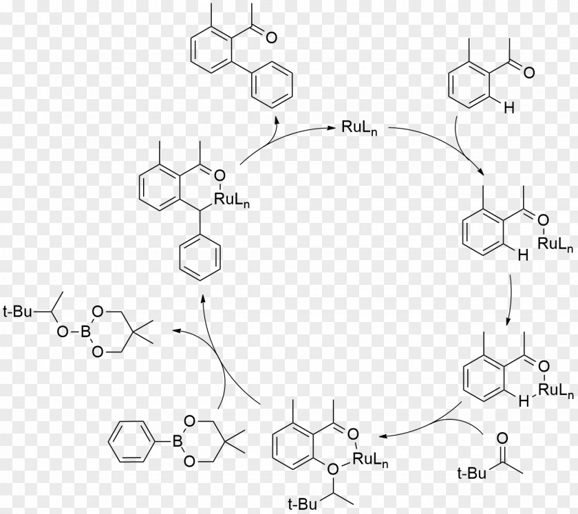 Aryl Catalysis Polymerization Palladium-catalyzed Coupling Reactions PNG