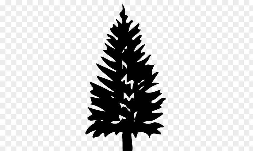 Blackandwhite Cypress Family Black And White Flower PNG