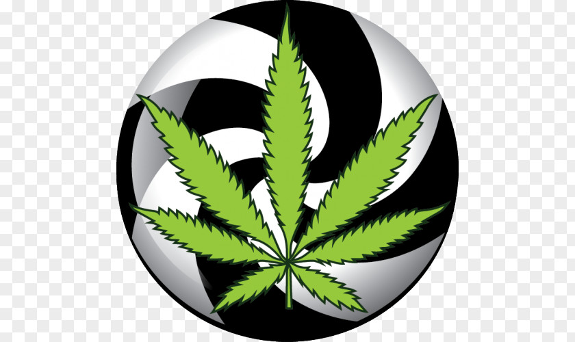 Cannabis Sativa Medical Shop Kush PNG
