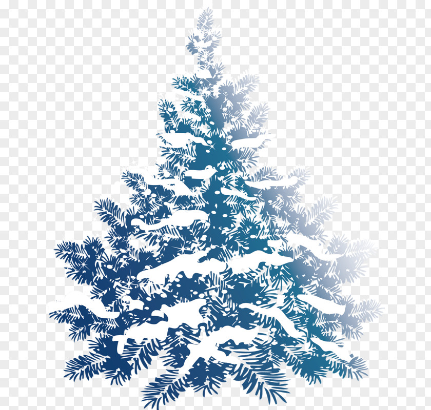 Christmas Tree Snow Pine Clip Art PNG