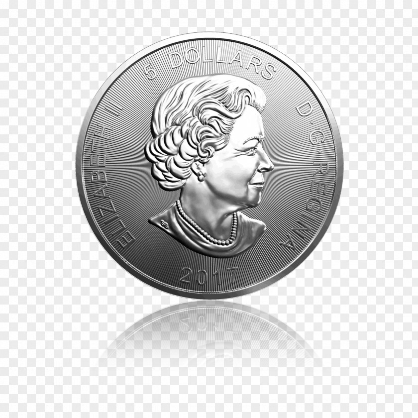 Silver Coin Canada Fineness PNG
